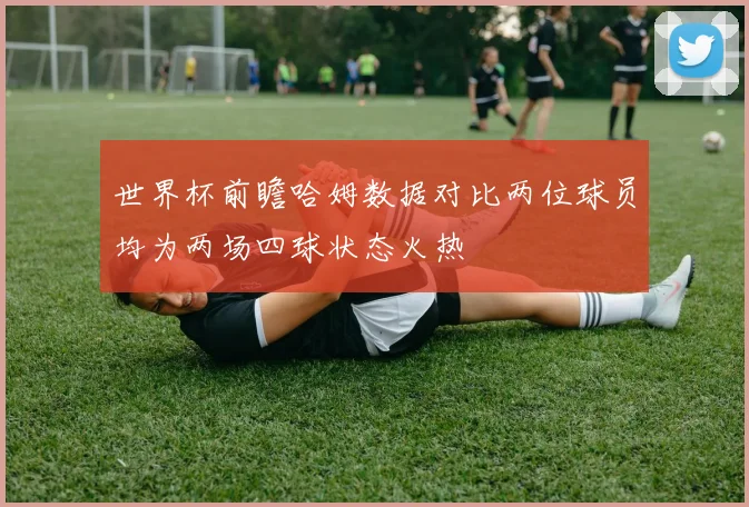 世界杯前瞻哈姆数据对比两位球员均为两场四球状态火热