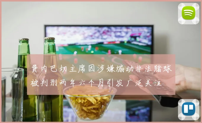 费内巴切主席因涉嫌煽动非法赌球被判刑两年六个月引发广泛关注
