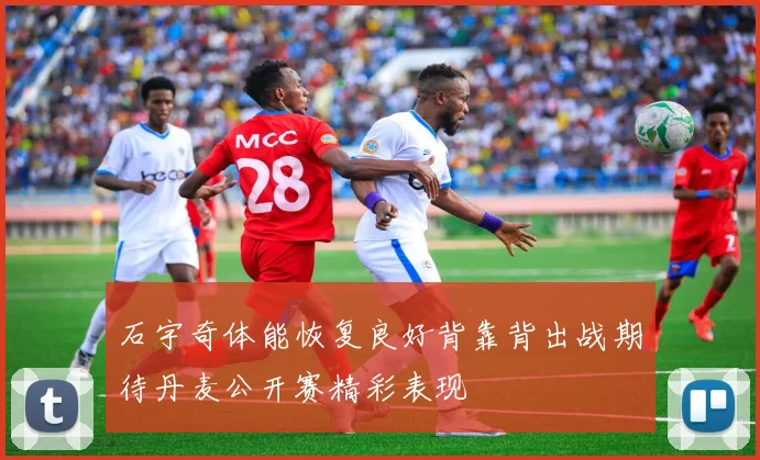 石宇奇体能恢复良好背靠背出战期待丹麦公开赛精彩表现